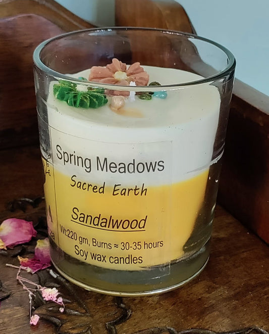 Spring Meadow: Sacred Earth