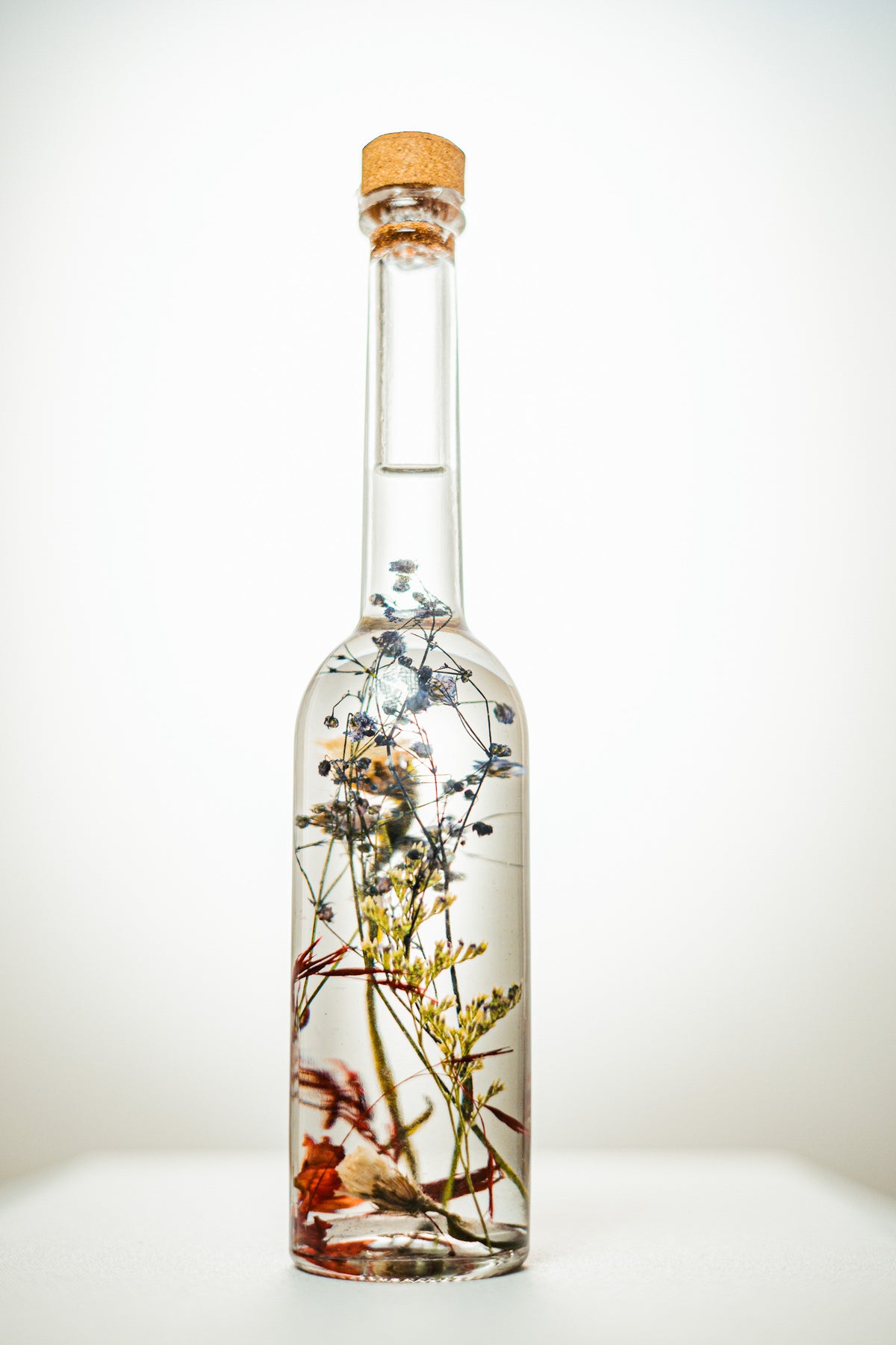 Garden in a Bottle: Classic