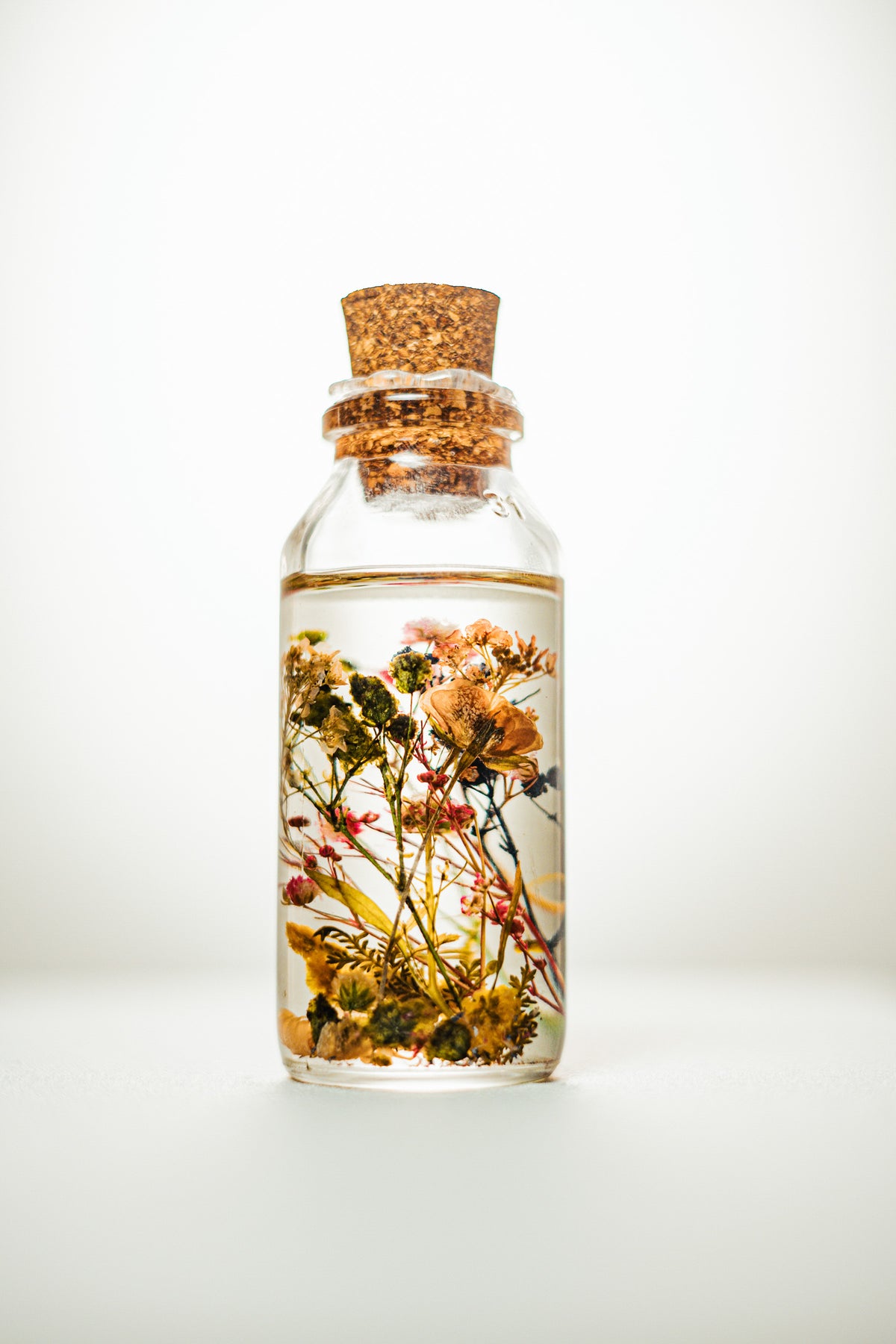 Garden in a bottle: Mini